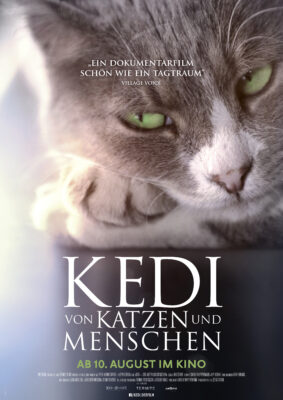 KEDI Plakat