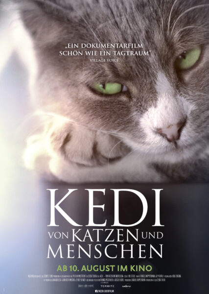 KEDI Plakat